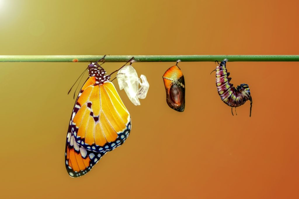 Gestión del cambio en los proyectos: supera la resistencia al cambio