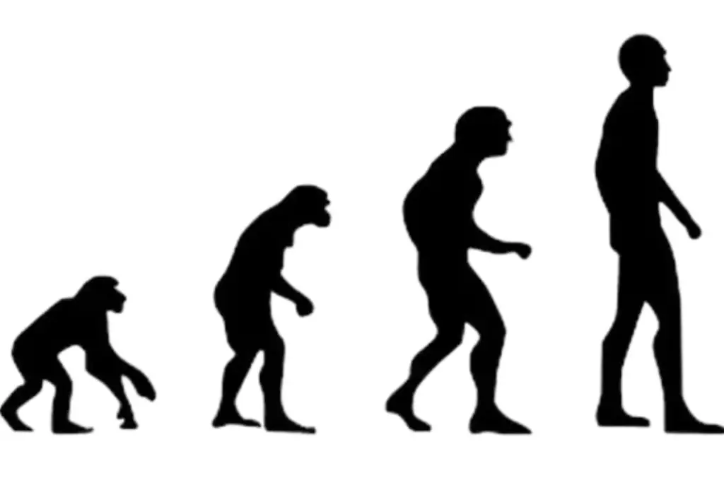 el modo híbrido en gestión de proyectos. Evolución. Gestión de proyectos. Ceolevel.